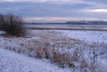 frozen stiff